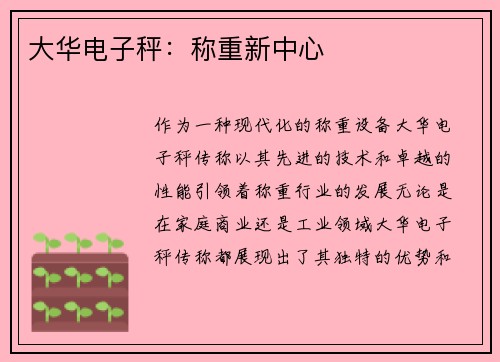 大华电子秤：称重新中心